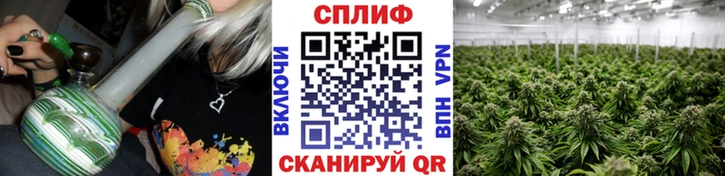 где найти наркотики  Каменногорск  Канабис VHQ 
